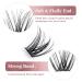 Lash Clusters 156 Pcs D Curl Individual Eyelash Extensions 9-14mm - Reusable Soft & Comfortable Wispy Lashes - DIY at Home - Buy Online on GoSupps.com