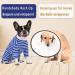 Shop Axcimond Long-Sleeved Dog Body for Small & Medium Dogs - Post-Surgery Wound Protection Castration Recovery Pajama Cone Alternative - 2XL Blue - Buy Online on GoSupps.com