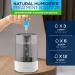 Natural Food Grade Humidifier Drops | Prevents Slimy Buildup | Reduces Scaling | Cleans & Deodorizes Water | 100+ Day Supply | Made in USA - Buy Online on GoSupps.com