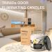 TRINIDa Vanilla Bean Odor Eliminating Candles | Eliminate 99% of Pet Smoke & Food Smells | Premium Scented Soy Candle Set for Home - Buy Online on GoSupps.com