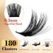 Cluster Eyelash Extensions 180 PCS - Wispy DIY Individual Lashes Soft Mink False Eyelashes with Super Thin Band - Mixed Tray (C-8-16mix) for Stunning Volume - Buy Online on GoSupps.com