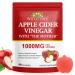 NIFEISHI Apple Cider Vinegar Gummies (1000mg) Apple Cider Vinegar with Mother (90Count) ACV Gummies w/Vitamin B6 & B12 Folic Acid Vegan Non-GMO Gluten- & Gelatin-Free