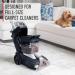 Hoover Pet Stain & Odour Carpet Cleaning Formula AH30933CA 128 oz white - Buy Online on GoSupps.com