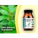 Gymnema Capsules: Natural Supplement for Blood Sugar Support - Buy Online on GoSupps.com