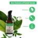 SHIZEN Green Tea Facial Serum | Moisturizing & Tightening | Vegan & Organic | 1.01 Fl Oz - Buy Online on GoSupps.com