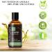 MAYJAM Juniper Essential Oil 100ML - Pure Juniper Oil for Diffuser Humidifier DIY Home & Wardrobes - Aromatherapy & Wellness - Buy Online on GoSupps.com
