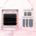 Y Lash Extensions - YY 2D Volume D Curl Premade Fans (30 Rows) - Free Backcard - Shop Now! - Buy Online on GoSupps.com