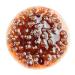 Jam EXTRA from Wild Strawberries - Premium 230g Forest Delight for International Shipping - Buy Online on GoSupps.com
