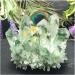 for Natural Green Ghost Phantom Quartz Crystal Cluster Rock Stones and Crystals Specimen Home DecoGift Crystal Cluster (Color : 950-1000g) - Buy Online on GoSupps.com