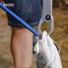 Booms Fishing R2 Hook Remover - 10-inch Squeeze-Out Fish Hook Tool in Blue - Buy Online on GoSupps.com