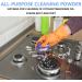 Powerful All Purpose Cleaning Powder Kitchen All-Purpose Powder Cleaner Household Foam Rust Remover Kitchen Stubborn Stains Cleaner Multi-Purpose Foam Cleaner Rust Remover (250g) - Buy Online on GoSupps.com