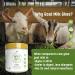 New Zealand Goat Milk Ghee - 8oz (227g) - Paleo & Keto Friendly | Non-GMO, Hormone & Antibiotic-Free, Gluten & Glyphosate Residue Free - Buy Online on GoSupps.com