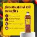 Jivo Wellness Pvt Ltd JIVO Cold Pressed Kachi Ghani Chemical Free Mustard Daily Cooking Oil 1 Liter Recommended for roasting frying baking All types of cuisines Mustard Oil - Buy Online on GoSupps.com