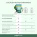 Primal Harvest Collagen MCT Powder - 60 Portions | Bioactive Premium Complex | Sustainable Grass-Fed Collagen & Coconut Oil | Optimal Solubility (2-Pack) - Buy Online on GoSupps.com