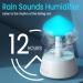 Rain Cloud Humidifier with Remote & Waterfall Lamp - White Noise & Rain Sounds for Bedroom Desk - Air Humidifier - Buy Online on GoSupps.com