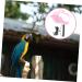 DOITOOL 3 Sets Bird Leash Suspend Parrot Harness and Leash Conure Birds Flying Harness Kit Gecko 12X6X1.3CMx3pcs Pinkx3pcs - Buy Online on GoSupps.com