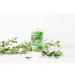 Urban Hydration Aloe Vera Body Moisturizer | Detoxes, Smooths, and Fades Dark Spots | Lightweight for All Skin Types | 6 fl oz - Buy Online on GoSupps.com