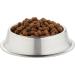 Orijen Puppy Food Large Size 11.4 kg - Buy Online on GoSupps.com