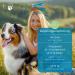 Buy Dog Fit by Prethis Vitamin B Complex for Dogs | Nervous System Support | Vegan No Additives | Medium Dog (10-25kg) - Buy Online on GoSupps.com