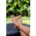Phoenix Foot Peel for Men - Extra Strength Exfoliating Treatment - 2 Pack - Callus Remover - Unscented - Paraben & Fragrance Free - Buy Online on GoSupps.com