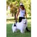 Premium XL Blue Dog Rehabilitation Aid - Neoprene Walking Support for Spine Hip & Knee Issues | From Nature Pet - Buy Online on GoSupps.com