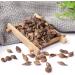 Forsythia Tea: 100% Therapeutic Grade Dried Forsythia Fruit Herb - 60g/2.11oz - Buy Online on GoSupps.com