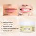 Avashine Collagen Lip Sleep Mask - Hydrating Lip Treatment & Moisturizer for Dry Lips - Buy Online on GoSupps.com