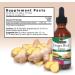 Nature's Answer Ginger with Organic Alcohol 2-Fluid Ounces - Buy Online on GoSupps.com