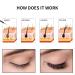Premium Eyelash Growth Serum - 5ML Eyelash & Eyebrow Growth Serum with Peptides for Fuller, Longer, Thicker Lashes - Irritation-Free Lash Boost - Gold, 0.17 Fl Oz (Pack of 1) - Buy Online on GoSupps.com