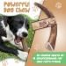Dog gnaws Deer Antlers for Dogs Large Dog Antler Natural Dog Treats and Chews GradeA Sustainable Puppy Teething Toys & Dental Sticks Naturally-Shed Nutritious Dog Chew Toys Bones 135g-165g - Buy Online on GoSupps.com