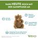 WHIMZEES Hedgehog Dental Care Snacks for Large Dogs - Natural Grain-Free Chew Sticks 6 Pack (Size L) - Best International Shipping - Buy Online on GoSupps.com