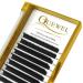 Quewel Self-Fan L Curl Volume Eyelashes - 0.05 Strength Mix 8-15mm | Easy Lash Extensions for Flawless Looks - Buy Online on GoSupps.com