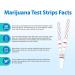 Areta Marijuana Test Strips - THC Urine Drug Testing Kit, 15 Tests, 5 Min Results - 50ng/mL Cutoff Level - Over The Counter Use - #ASTH-114C - Buy Online on GoSupps.com