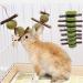 Barley Ears Kachtiele for Rabbits & Hamsters | Natural Chew Toys with Apple Wood Sticks - 2PCs for Healthy Teeth - Buy Online on GoSupps.com