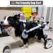 Dog Wheelchair Dog Wheelchair for Back Legs Aluminum Alloy Pet Wheelchair Lightweight Walk Tool Large/Medium Dog Cart Aids Wheelchair Portable Small - Buy Online on GoSupps.com