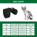 Bingpet Adjustable Cat Dishes & Leash - Soft Network Holster for Small to Large Cats | International Shipping Available - Buy Online on GoSupps.com