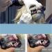 Elionless Pet Tooth Scaler Cleaning Set | 3-Piece Stainless Steel Tartar & Plaque Remover for Dogs & Cats International Shipping Available - Buy Online on GoSupps.com