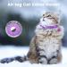 Buy Reflective Airtag Cat Collar with Holder & Bell - Safe Adjustable Design for Kittens & Puppies (Purple) | International Shipping Available - Buy Online on GoSupps.com