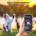 Mouyou Airtag Cat Neck Band - Soft Nylon Reflective Collar with Bell & Safety Clasp Adjustable 22-34cm Orange - Track Your Cat with Airtag Holder - Buy Online on GoSupps.com