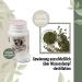 Buy Athina Oregano Oil 3 x 60 Softgel Capsules | 500mg with 80% Carvacrol & Olive Oil | Pure & Natural Ingredients | Fast International Shipping - Buy Online on GoSupps.com