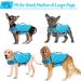 Alagirls Dog Life Jacket - Small & Medium Rip-Stop Safety Vest with Rescue Handle | Blue (Chest 47-61 cm) - Buy Online on GoSupps.com