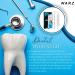 NARZ Plaque Remover Kit - Stainless Steel Dental Tools for Teeth Cleaning - Tartar Remover for Men, Women, Kids, and Pets - 4 Pcs - Buy Online on GoSupps.com