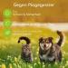 Zeckguard Natural Spot On - Organic Protection for Dogs & Cats with Coconut Oil & Black Cumin Oil | Long-Lasting Z Season Defense - Buy Online on GoSupps.com