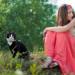Ranypet 15m/50ft Reflecting Long Line for Cats - Safe Durable Leash for Kittens Puppies & Small Animals - Disappearing Design in Black - Buy Online on GoSupps.com