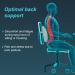 Back rest - Un 1 count - Buy Online on GoSupps.com