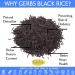 GERBS Wild Black Canadian Rice 2 LBS | Top Grade, Allergy-Free, High in Protein, Fiber & Antioxidants | Gluten, Peanut, Tree Nut Free | Resealable Bulk Bag | Freshly Harvested Wild Rice - 2 Pound Pack - Buy Online on GoSupps.com