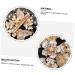 minkissy Flower Leaf Hairpin Bobby Pin Hair Accessory for Women Weeding Hair Clasp Wedding Hair Clip Metal Nail File Bobby Clip Lady Hair Barrette Bridal Accessories Rhinestone Girl Miss - Buy Online on GoSupps.com