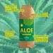 Aloe ARBORESCENS Miller with Agave 100% Vegan 100% Fresh 100% BIO Recipe bio by Father Romano Zago - Buy Online on GoSupps.com