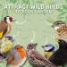 Copdock Mill Wild Bird Seed 12.75kg Signature Collection Wild Attraction All Year-Round Bird Food 100% Natural Ingredients with Peanuts for Wild Bird Suitable for All Wild Bird Species 12.75 kg (Pack of 1) - Buy Online on GoSupps.com