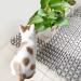 Cat Scat Mat 10 Pieces - Anti-Cats Network Spikes 20x6 - Cat Repellent Prickle Strips - Buy Online on GoSupps.com
